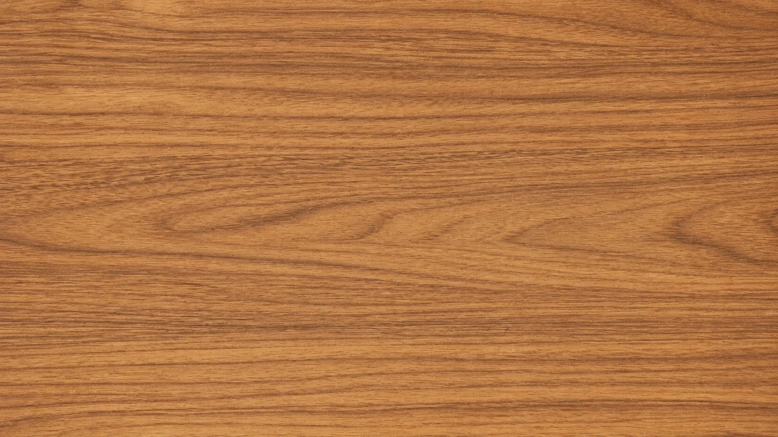 Wood-lined interior